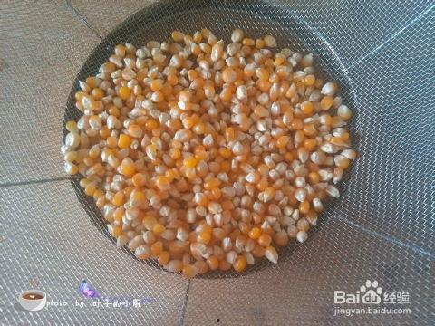 玉米爆米花爆料视频大全,爆笑瞬间!玉米爆米花爆料视频大全集锦 第2张 玉米爆米花爆料视频大全,爆笑瞬间!玉米爆米花爆料视频大全集锦 第2张