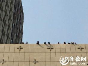 济南楼顶爆料案件最新,惊曝高空惊魂,真相即将揭晓 第1张 济南楼顶爆料案件最新,惊曝高空惊魂,真相即将揭晓 第1张