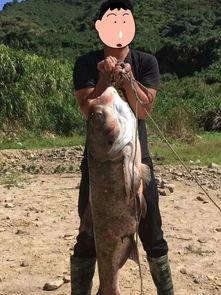 胖头鱼被爆料视频大全,揭秘网络红人幕后真相 第2张 胖头鱼被爆料视频大全,揭秘网络红人幕后真相 第2张