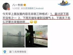 今日生活爆料电话,今日爆料电话背后的故事 第2张 今日生活爆料电话,今日爆料电话背后的故事 第2张